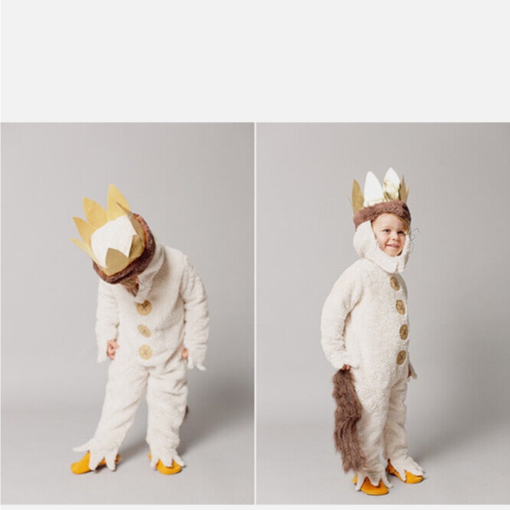 Pottery Barn “Where the Wild Things Are” Max costume